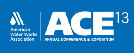 ACE 2013